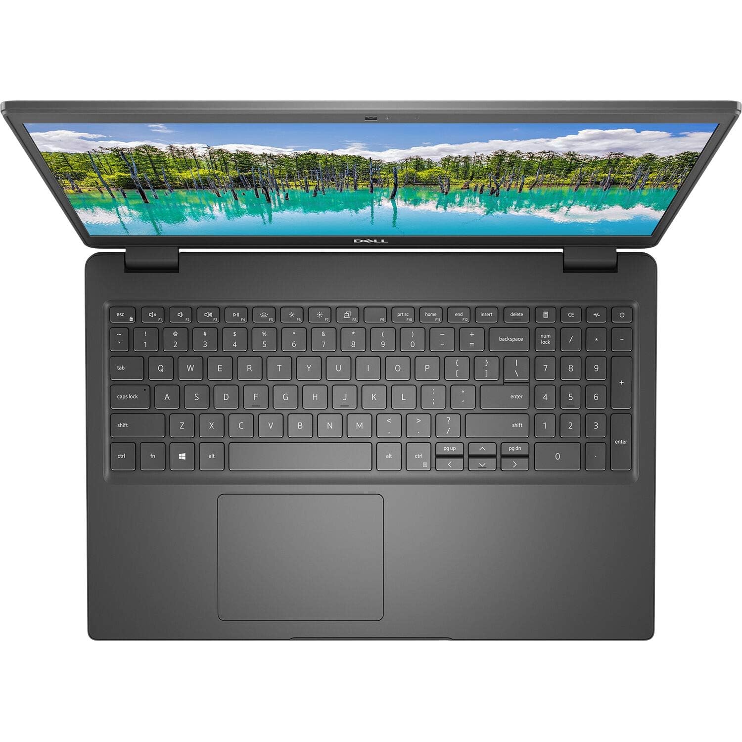 Amazon.com: Dell Latitude 3510 Home and Business Laptop (Intel i5