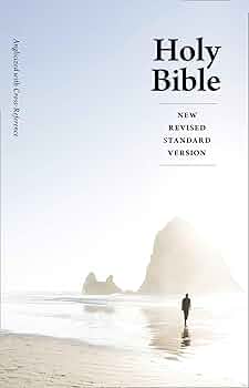 洋書 HOLY BIBLE NEW REVISED STANDARD VERSION Amazon.com: The Holy Bible: The New Revised Standard Version