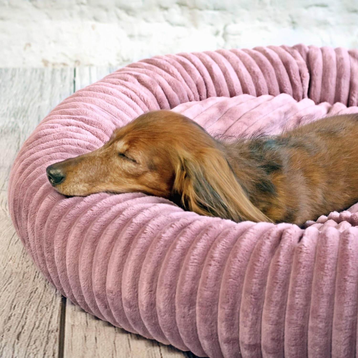 4L Textil Luna Lit pour chien douillet pour chiens de taille moyenne Corbeille pour chats peluche Panier pour chien pour chiens de taille moyenne Lit pour chien pour chiots Coussin pour chien Lit pour