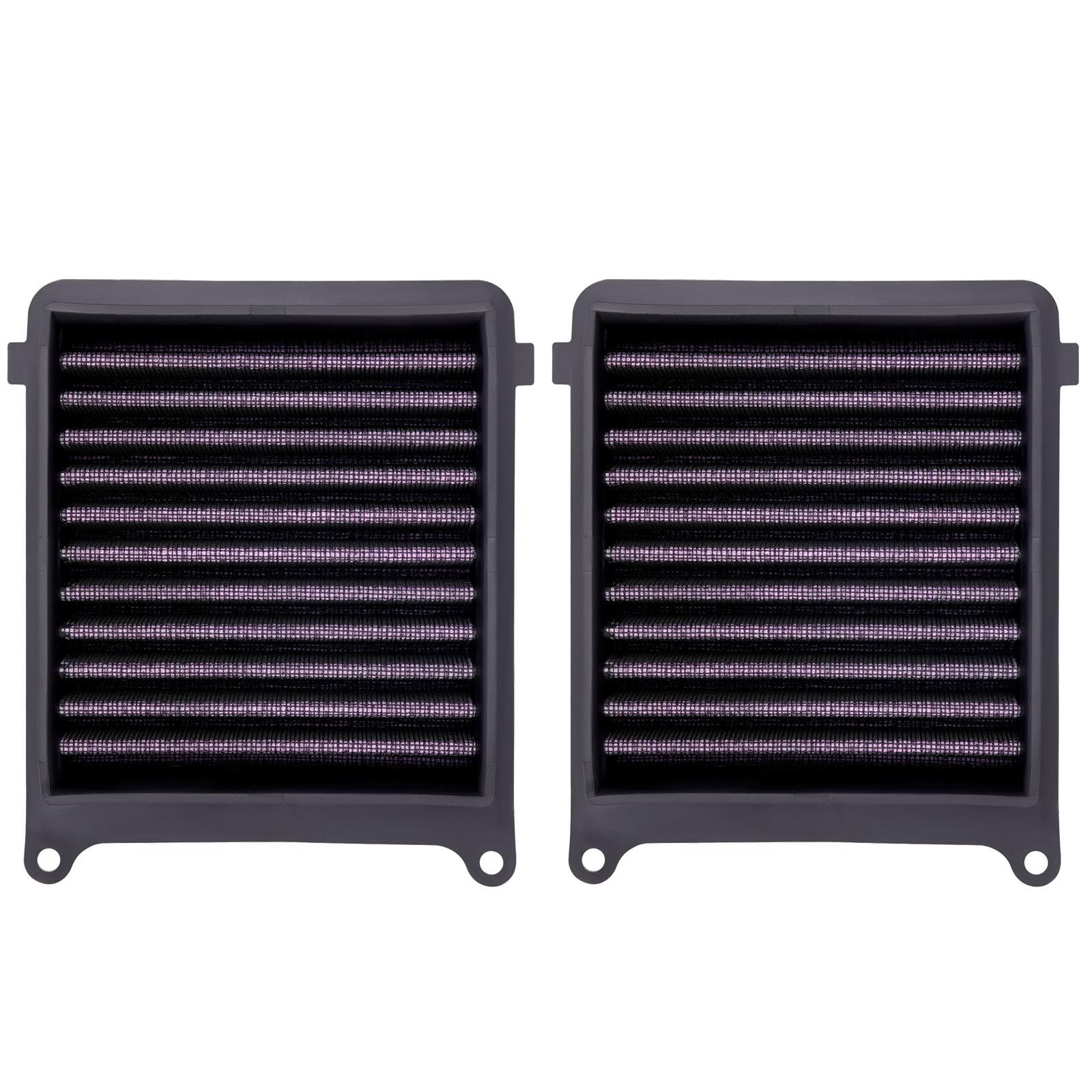 Road Passion Filtro de Aire17210-MKS-E00 Compatible con Honda CRF1100 LA Africa Twin Adventure Sports ES ABS EERA 2024 /CRF1100 LD Africa Twin Adv Sports DCT ABS 2L 2020 /CRF1100 LA 2019-2025 (2 PCS)
