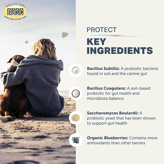 Four Leaf Rover Protect - Probiotics for Dogs - Veterinarian Formulated - with Natural Prebiotics and Antioxidants - Detoxification & Gut Health - 30 Day Large Dog Supply