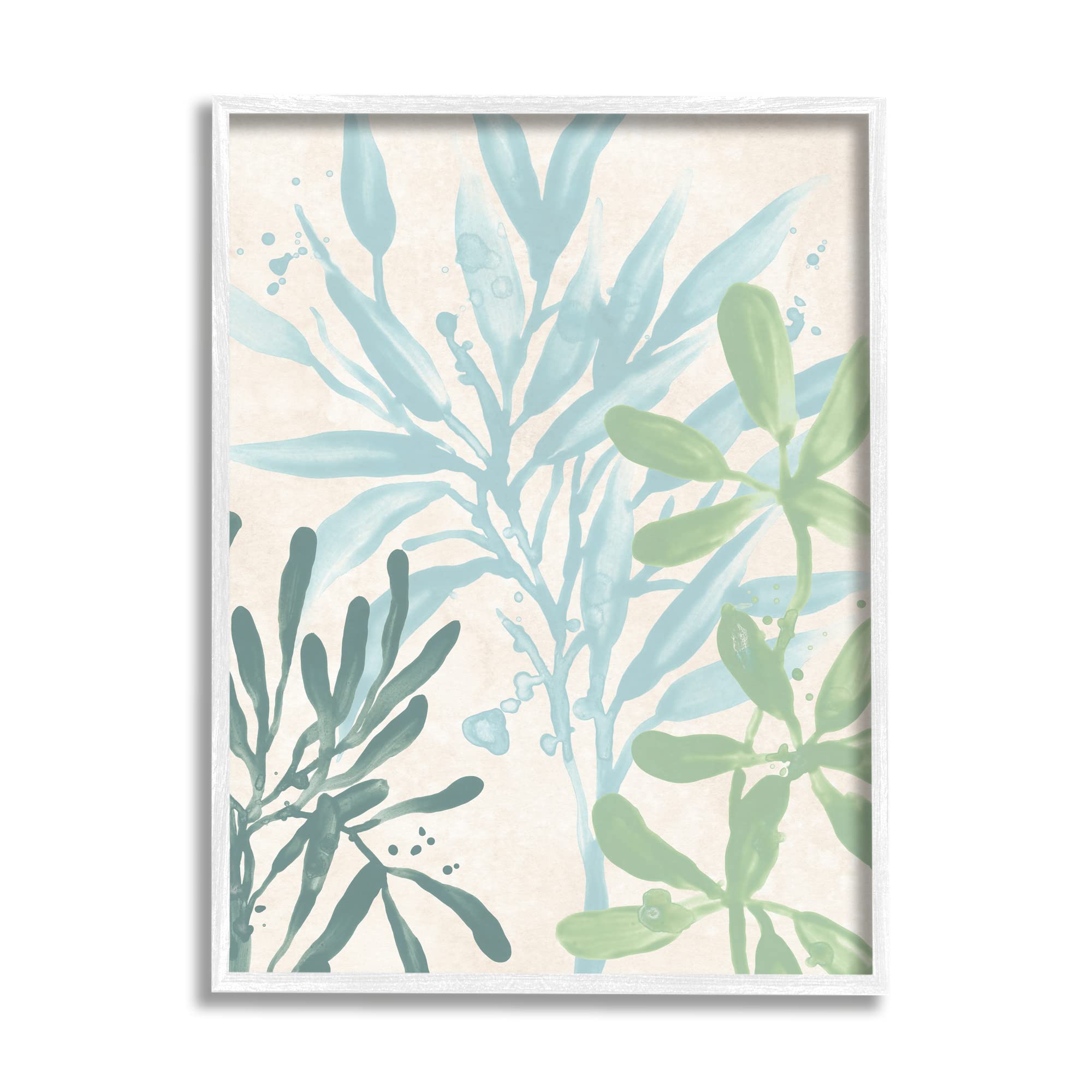 Stupell Industries Marine Seaweed Plant Leaves Framed Wall Art, Design by June Erica Vess