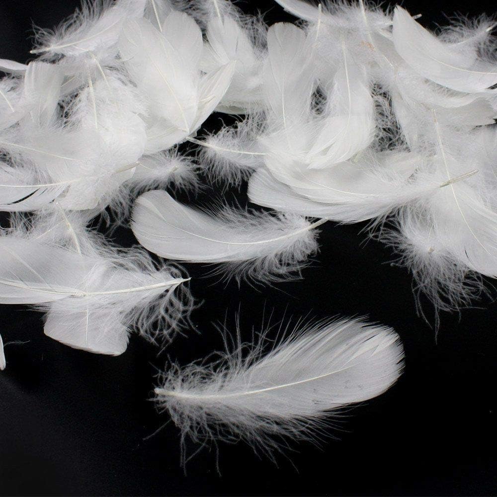 Coceca 350pcs White Feathers for Crafts 3-5 Inches (8-12cm) for Dreamcatcher Various Birthday Party Wedding Festival Decorations