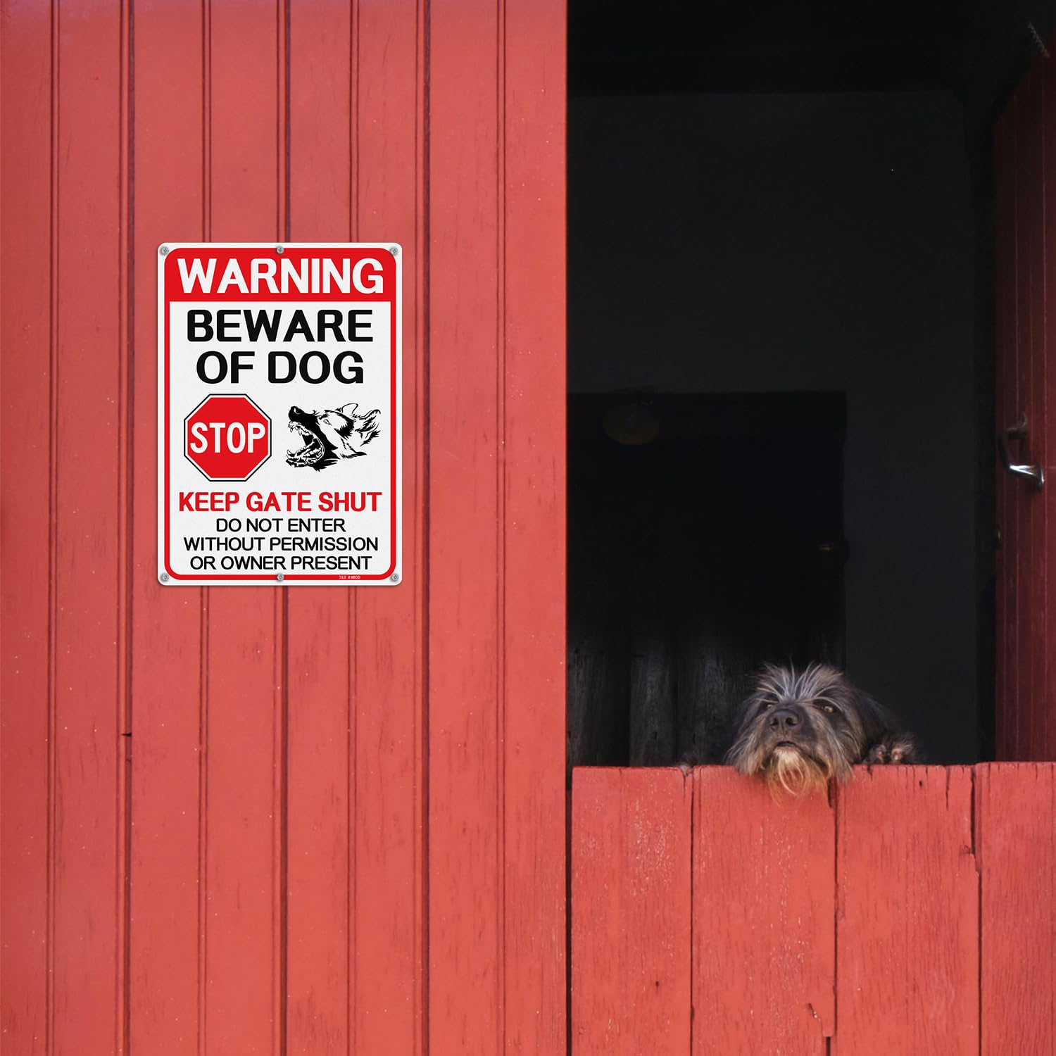 T&R "No Dogs Allowed" Schild Aus Aluminium – 35,6 X 25,4 Cm, Reflektierend, Wetterfest Mit 6 Bohrungen