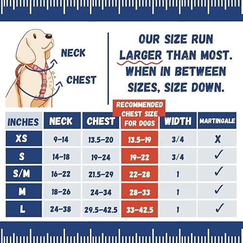 Miniatura 6 de DF Arnés Martingala sin tirones para perro, arnés de nailon ajustable con clip frontal, arnés clásico a prueba de escapes para cachorros con asa