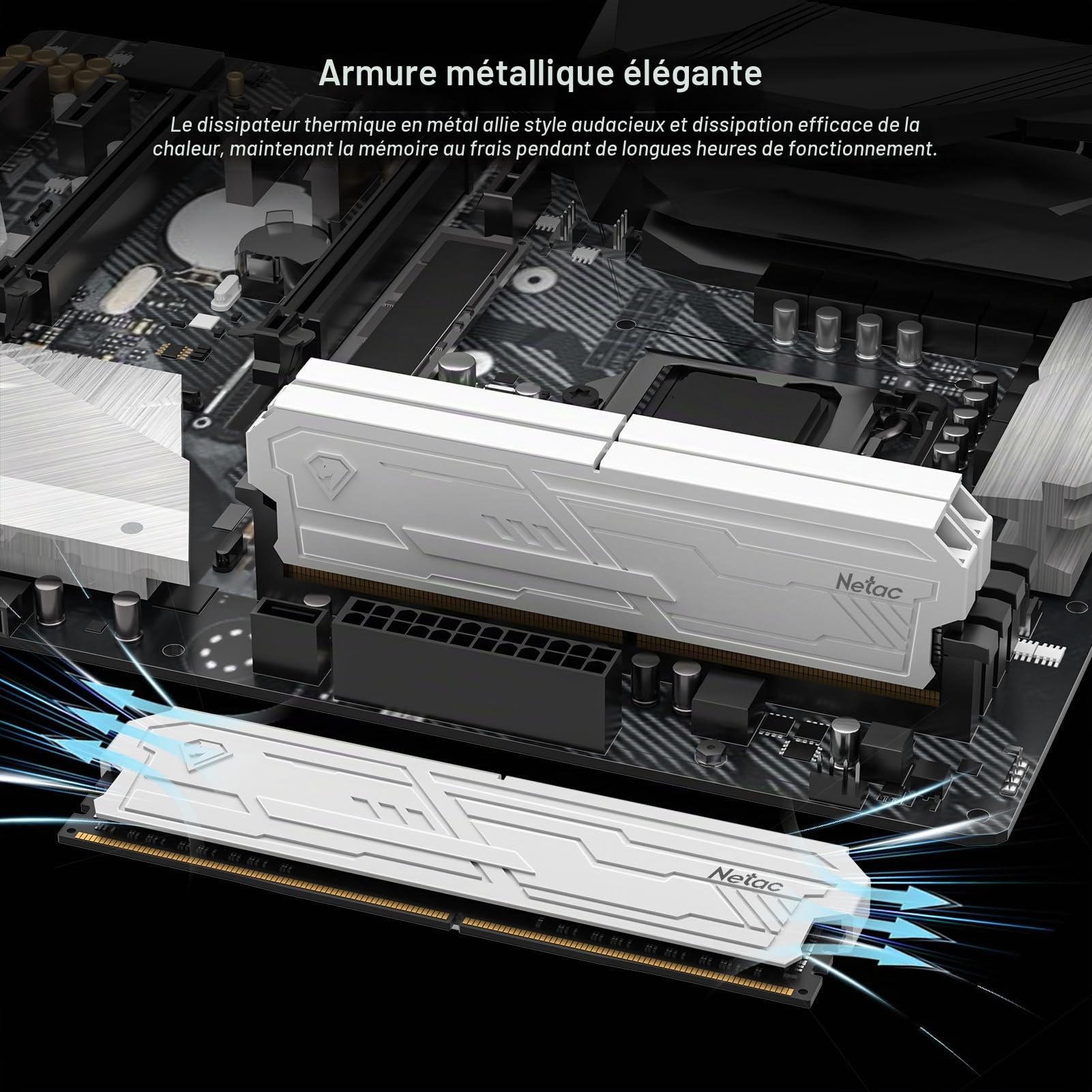 Netac DDR5 32 Go (2 × 16 Go) RAM 6400 MHz 1,4 V CL32 Intel XMP 3.0 Mémoire de bureau Blanc