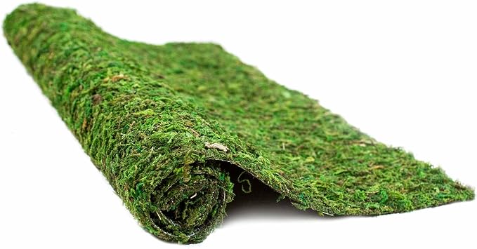 Galapagos 05094 CrashPad, Mossy Terrarium Liner, Natural, 18 x 36 in