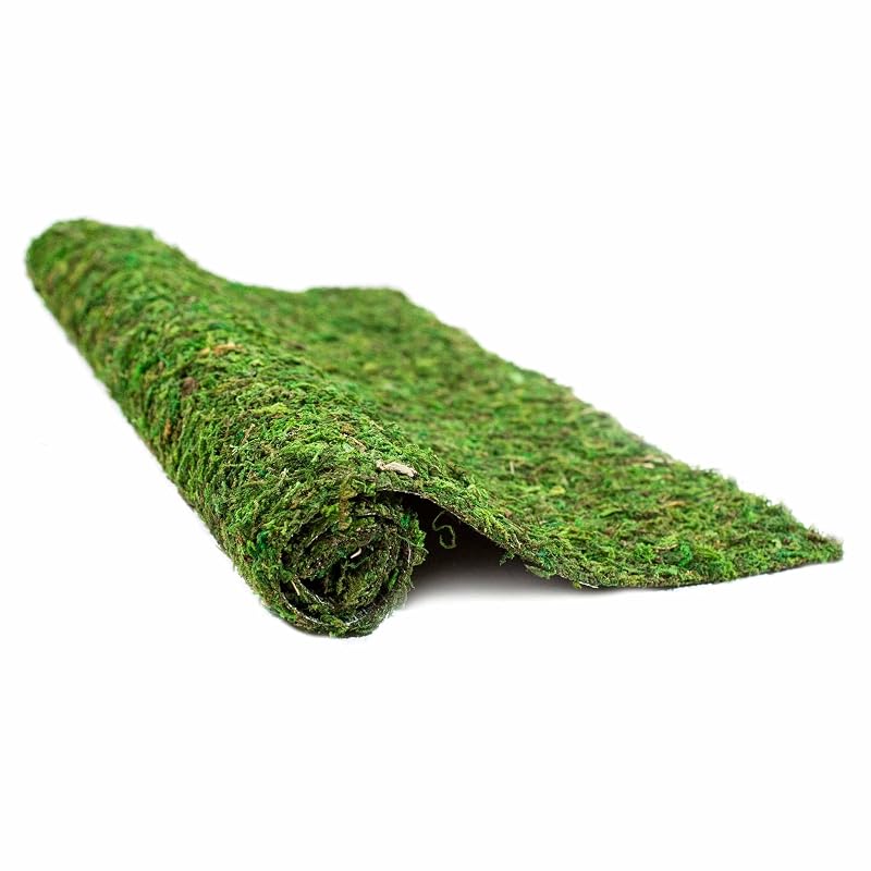 Substrato para Terrário de Musgo Natural Galapagos CrashPad 05094, 45,72 x 91,44 cm
