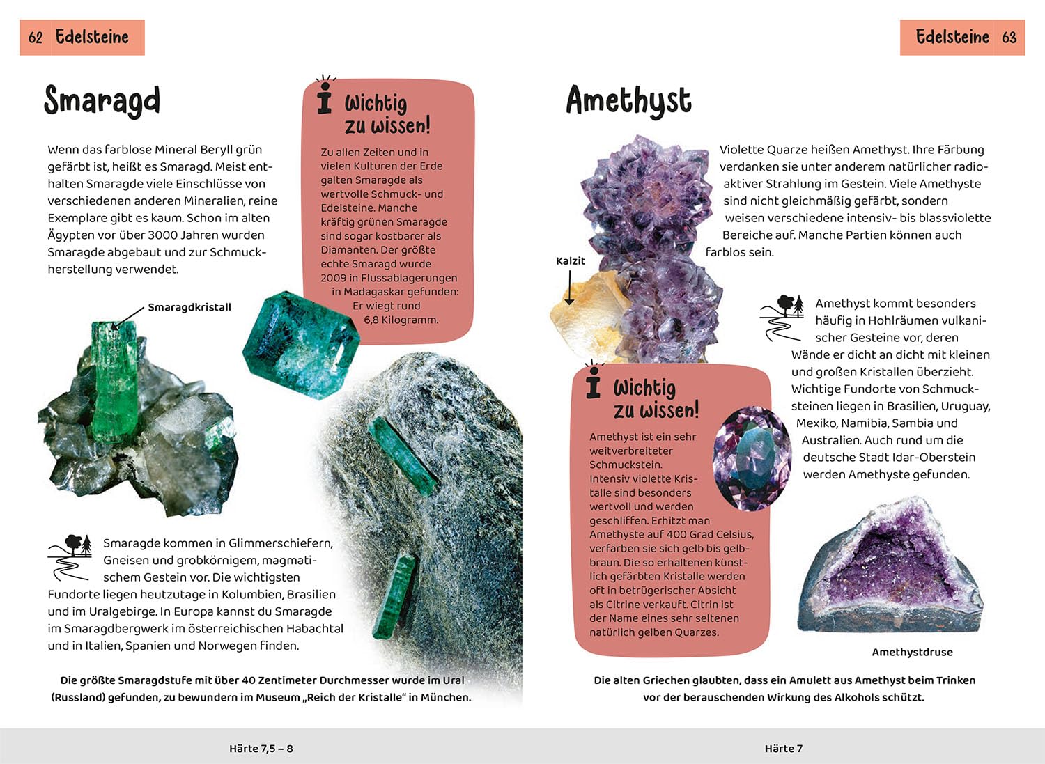 Welcher Stein ist das? Kindernaturführer: 85 Mineralien, Gesteine, Fossilien. Richtig Bestimmen, Spaß in der Natur, die Welt der Mineralien und Gesteine entdecken.