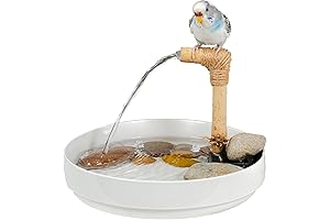 Reiki's Zen Bird Shop: Zen Birdie Spa - Round Bath with Rainbow Rocks