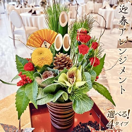 yN[֔zz1226ȍ~͂\ 4^Cv炨Iт܂I邭₩ȈNF肵FN₩Ȍ}tAWg   NNn Nz  (N[֔zyiނсjz)