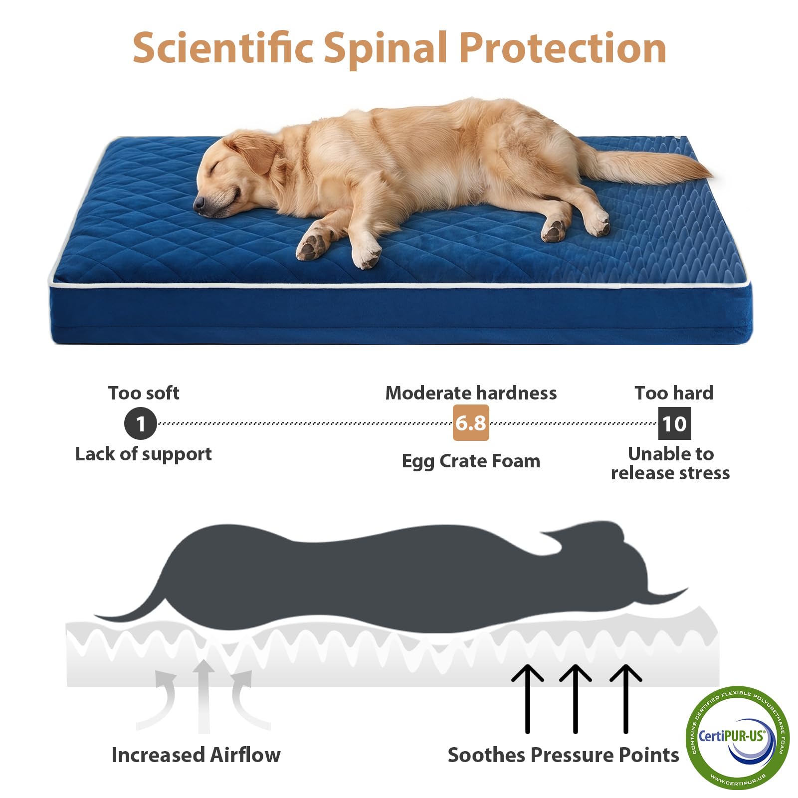 WNPETHOME Orthopedic XXL Dog Beds for Large Senior Dog Bed Comfy Sleeping view 3