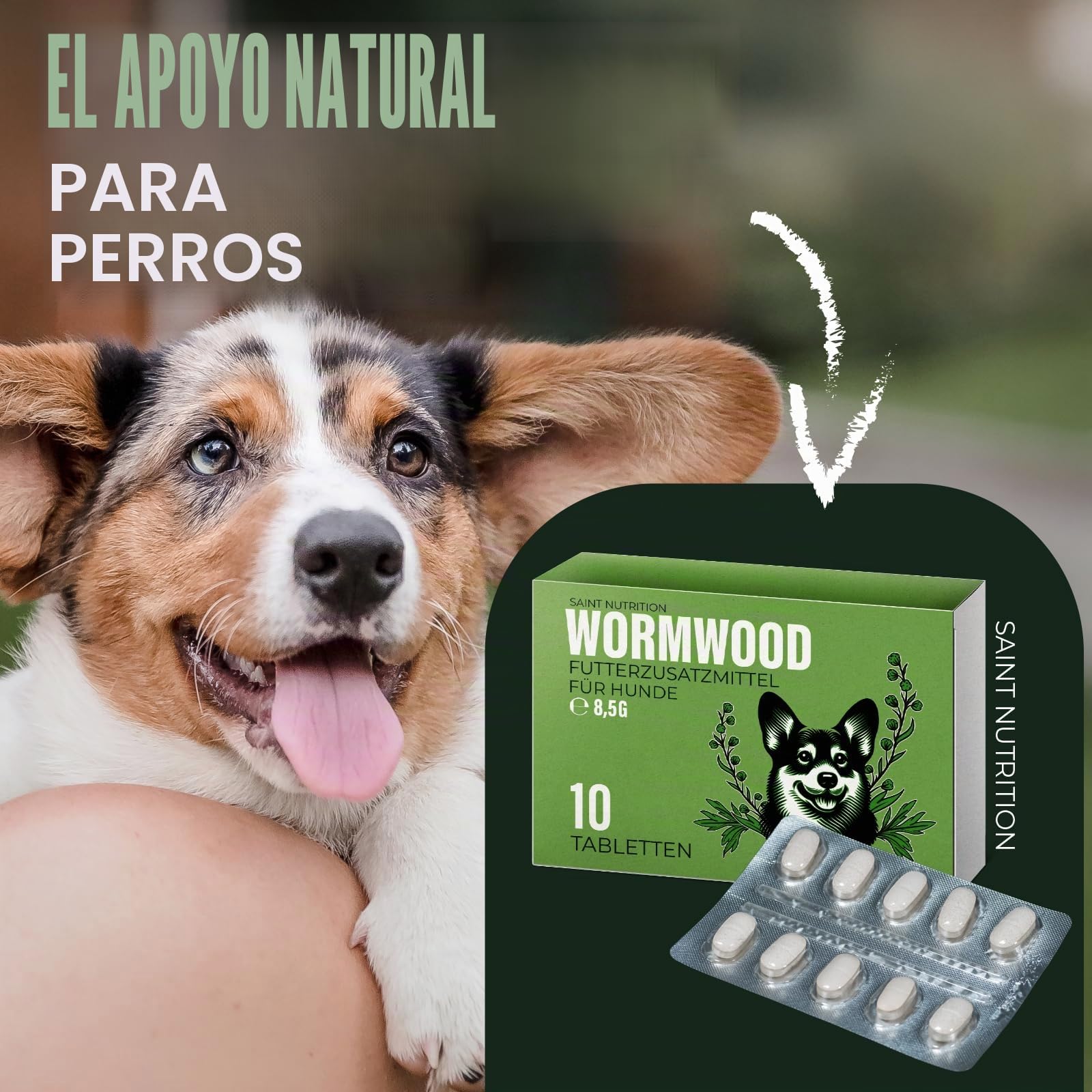 Saint Nutrition® Wormwood - Tratamiento de gusano secundario para perros - Extracto de hierba de ajenjo para perros - Fórmula herbal natural - Complemento alimenticio para un apoyo óptimo - sin