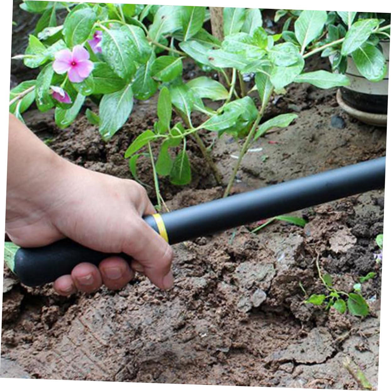 HANABASS 2 Stck. Ergonomischer Hand Hacke Manganstahl Gartenwerkzeug für Graben Pflanzen und Unkrautjäten Robust und Komfortabler für Gartenliebhaber