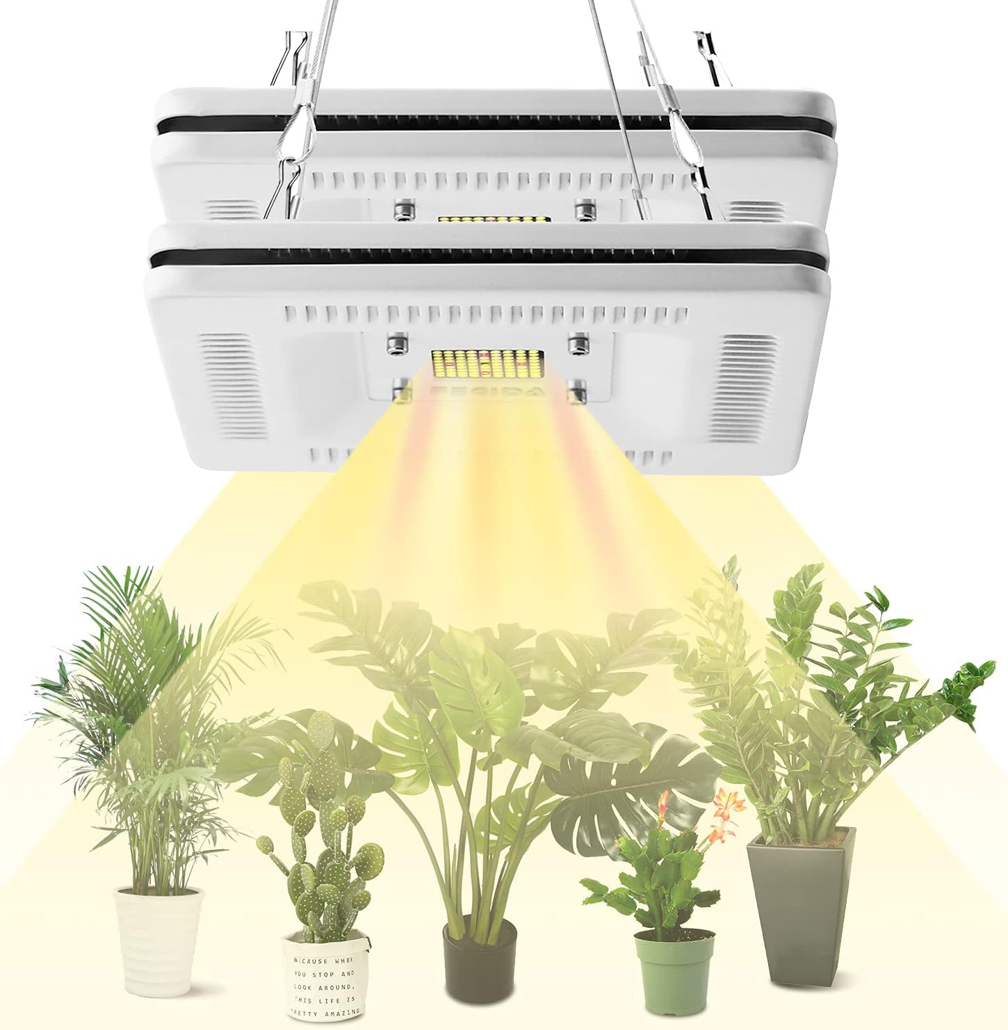 FECiDA 2-Pack LED Plant Grow Light Full Spectrum, Total 600W CFL, HPS Grow Lights Equivalent, Premium Sunlike Grow Light for Indoor Plants in Indoor Garden, Hydroponics, Greenhouse