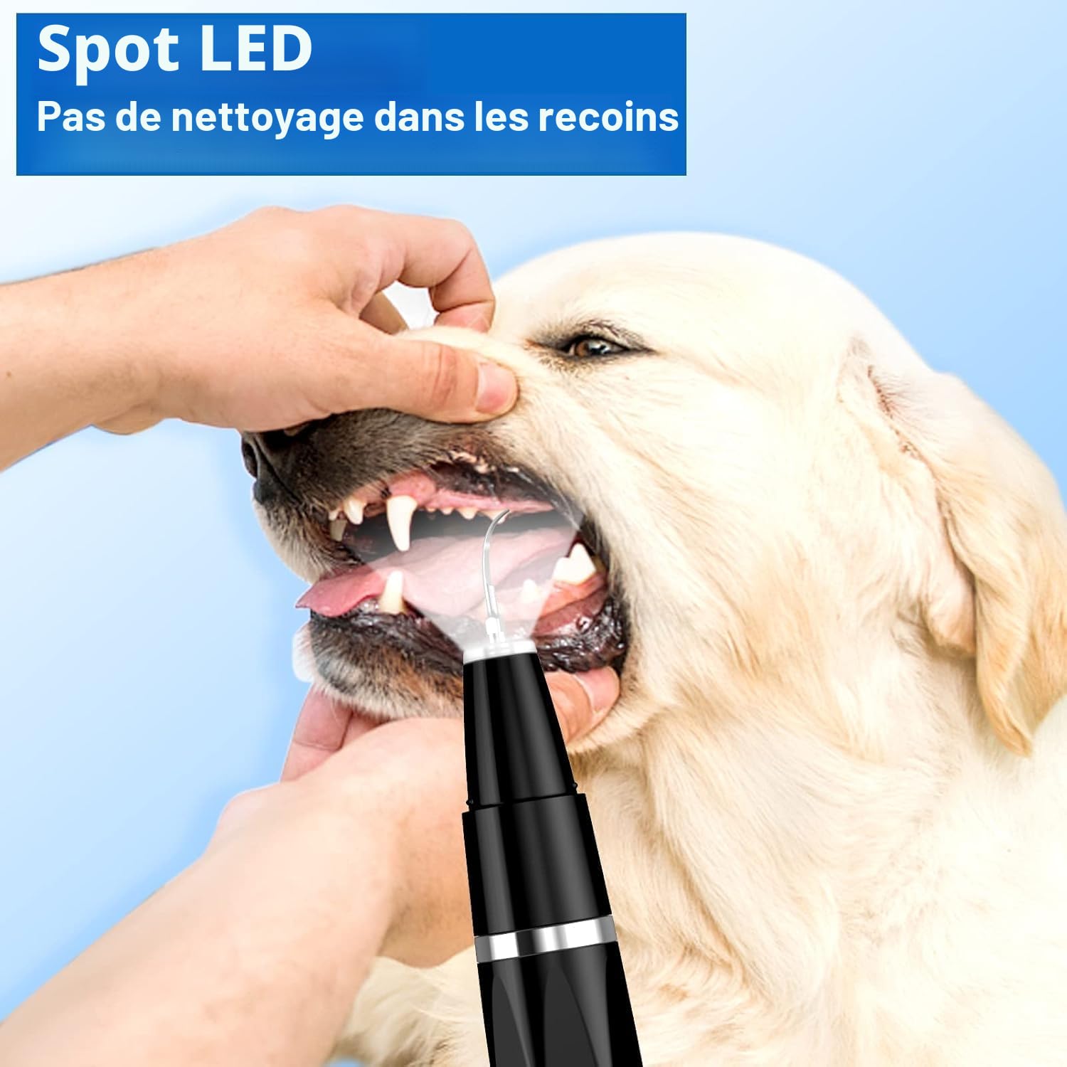 Ni-SHEN Kit d'enlèvement de plaque dentaire, de nettoyage des dents à ultrasons pour animaux domestiques, de tartre et de taches, convient pour chiens et chats (Noir)