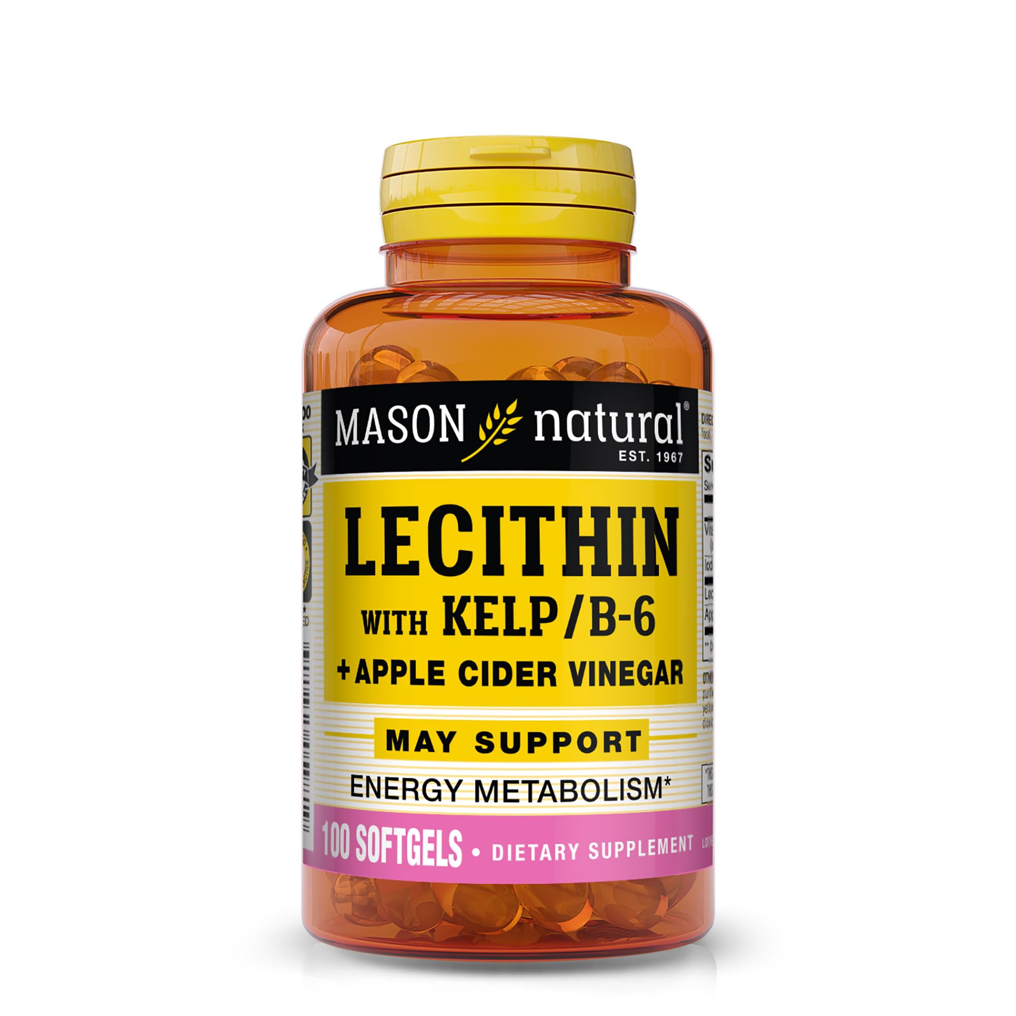 MASON NATURAL Lecithin with Kelp, B6 & Apple Cider Vinegar, 100 Day Supply