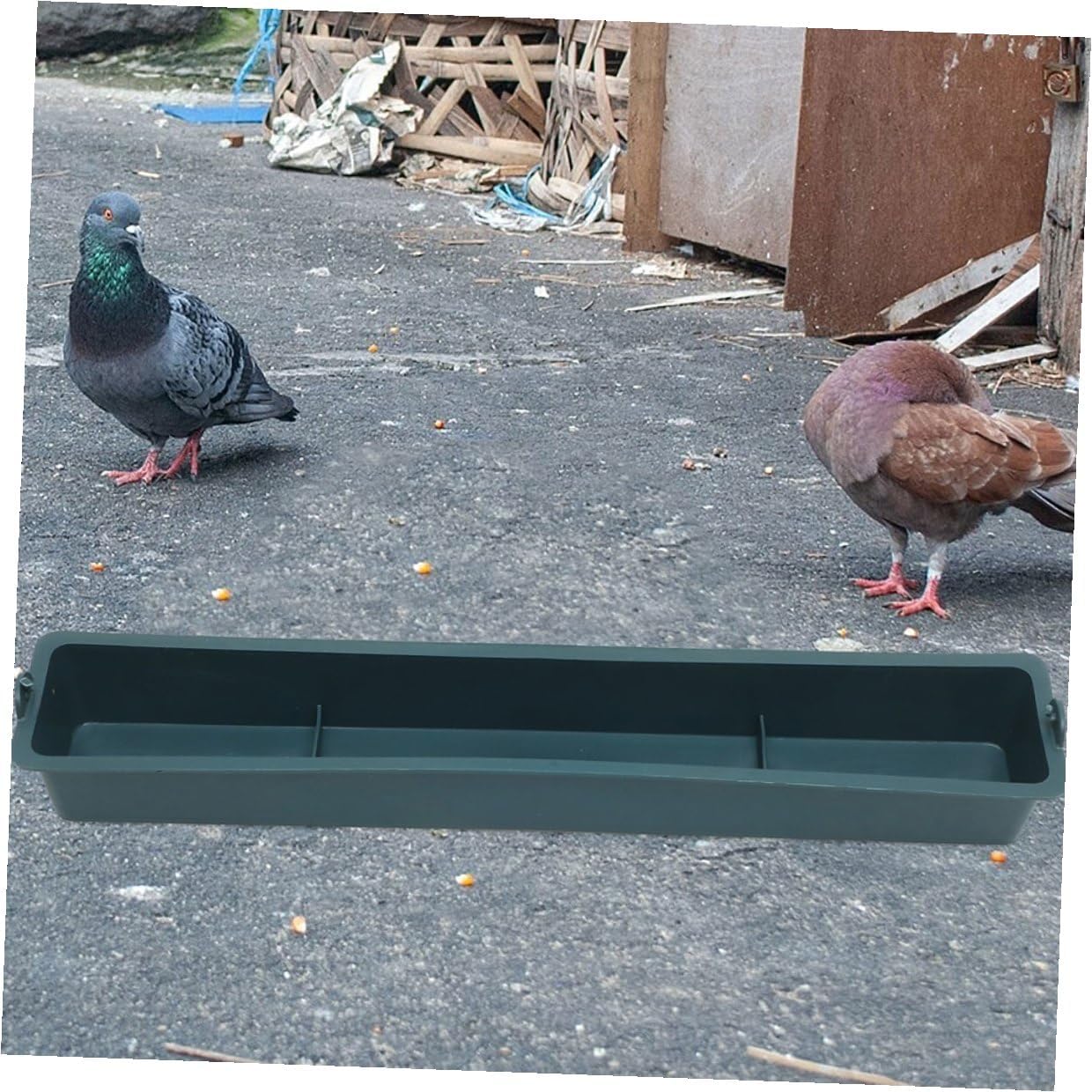 Milisten 2pcs Hanging Plastic Chicken Feeder with 3 Compartments, Spill-Proof Poultry Food Trough for Cage Feeding, Sturdy Bird Food Dispenser Suitable for Chickens, Ducks, and Pigeons