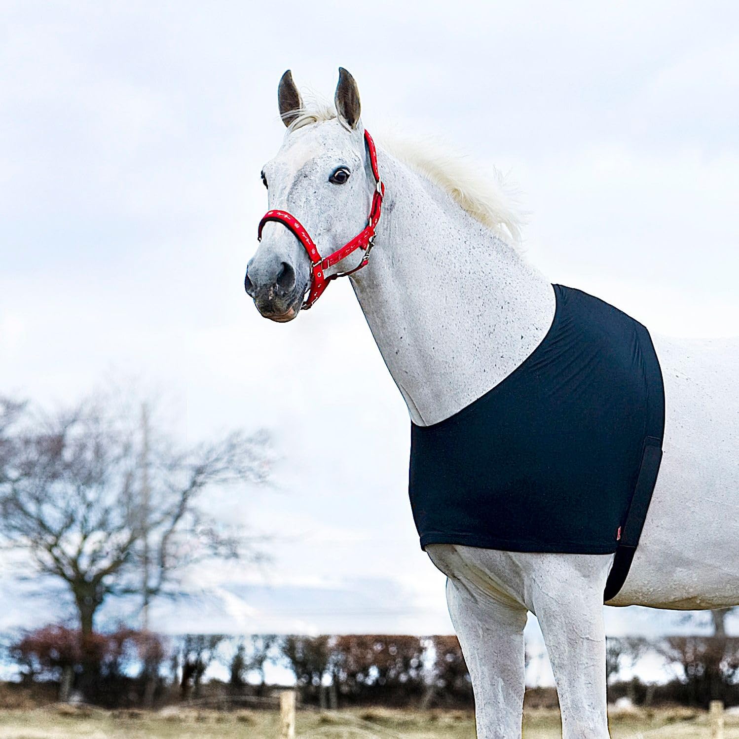 netproshop Weicher Brustschutz Schulterschutz gegen Scheuern Pony/Cob/Full/XLFull, Auswahl:XL Full