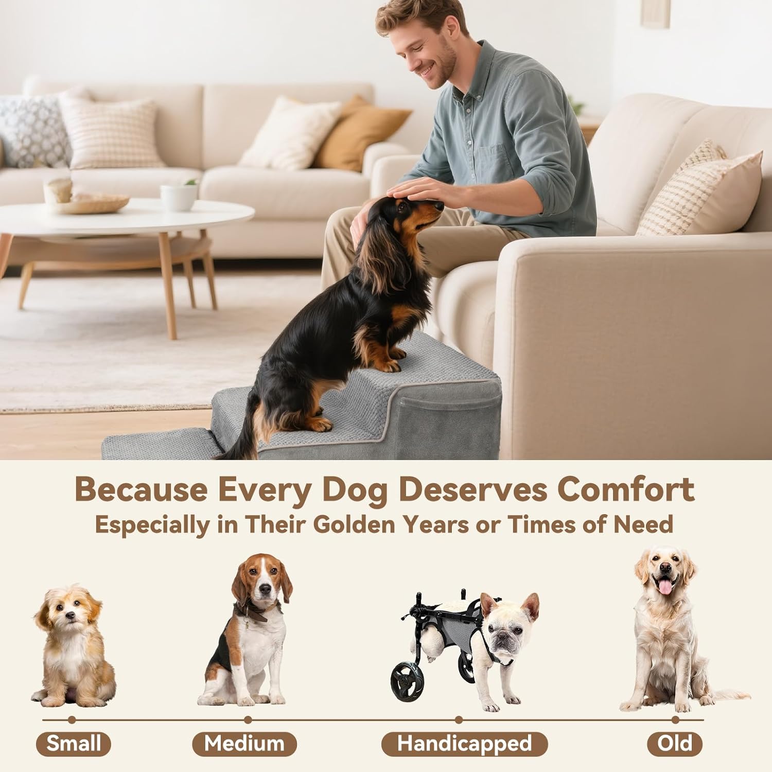 https://m.media-amazon.com/images/I/71NSV4J2dxL._AC_SL1500_.jpg