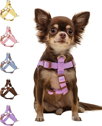 Y-Type Easy Walk - Arnés para perros grandes, sin tirones, a prueba de escape, arnés ajustable para perro grande, color azul, sin tirones,