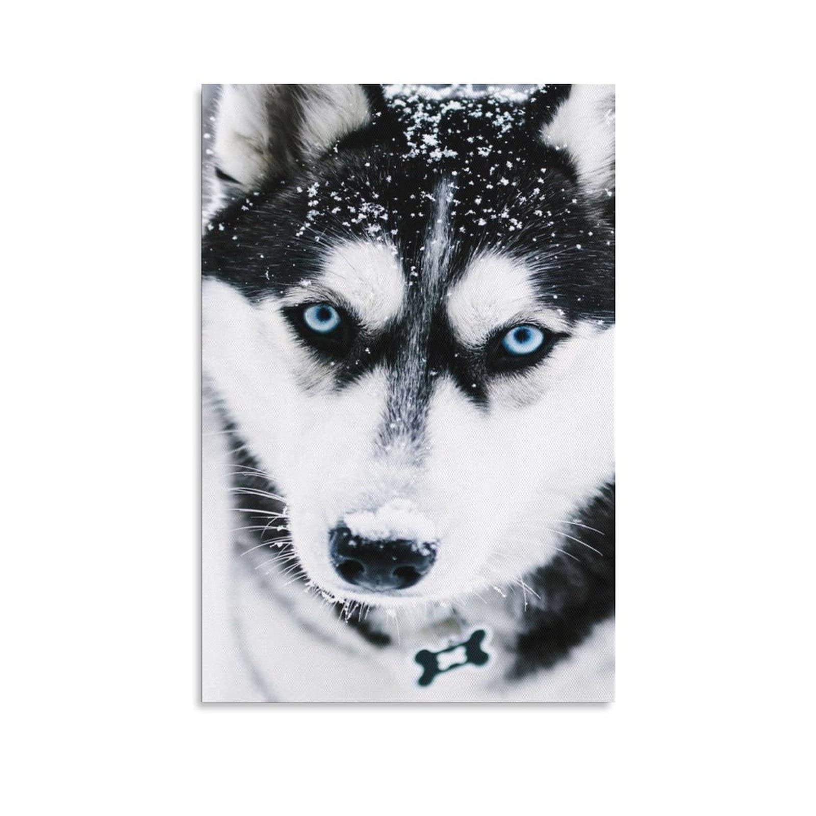 SDMFUNS Siberian Husky Huskie Dog Stare Tongue Out Walk (42) Canvas Poster Bedroom Decor Sports Landscape Office Room Decor Gift 12x18inchs(30x45cm)