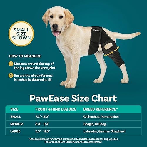 Miniatura 5 de Rodillera de perro para pierna trasera de acl desgarrado, soporte para piernas de perro para pierna trasera, tamaño grande, soporte para acl de