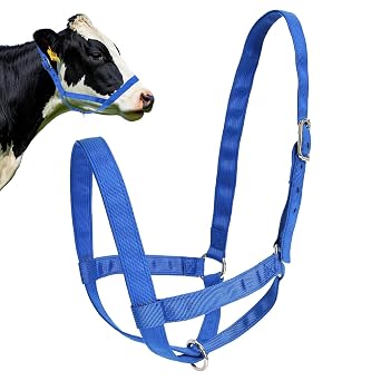 Cattle Halter, Cow Halter, Calf Halter, Cow Halter for Cattle for All Types of Cattle Adjustable Nylon Cow Halter, Cattle Harness for Ponies, Goats and SheepBlue