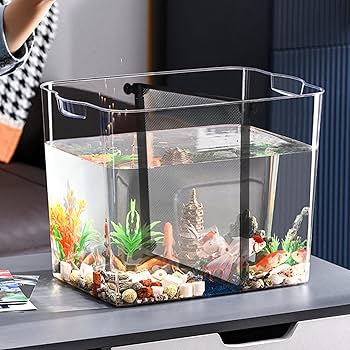 Aazon.co : DGZZI Suction Cup Holder 12PCS White Aquariu Fish Tank