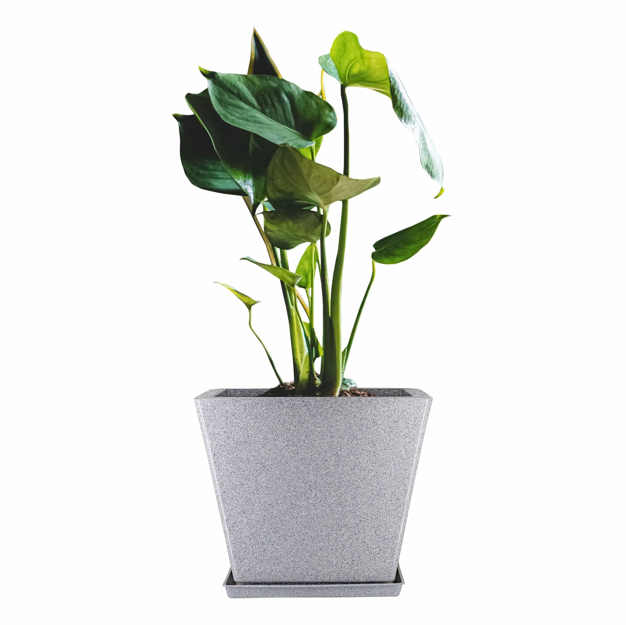 Gardens 10-Inch(25.4cm) Square Greece Marble Look Decorative Flower Pot with Bottom Tray – Unique Gray Granite Planter for Home, Office, Garden, or Gift Décor (B0BRCNHB48) Amazon Price History, Amazon Price Tracker