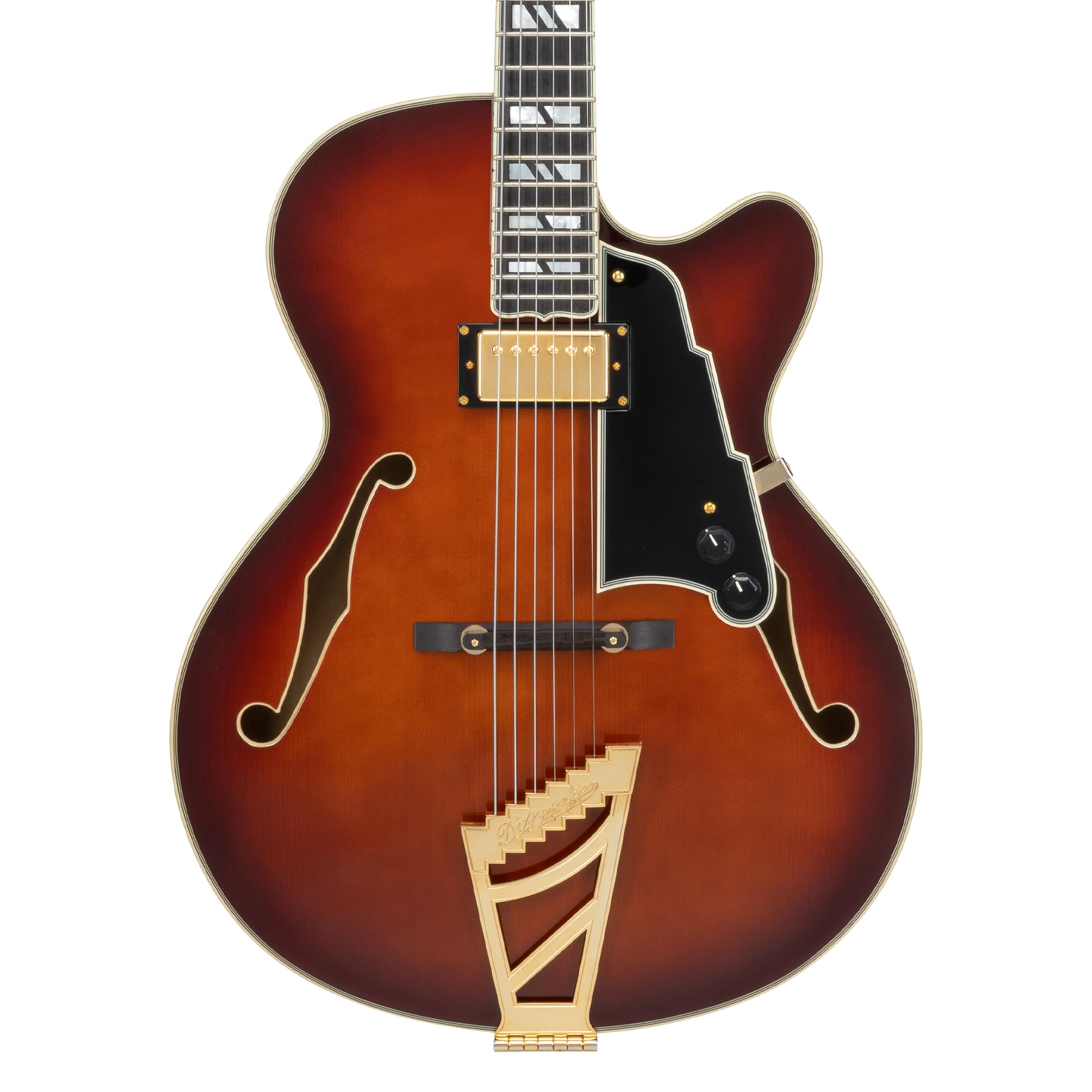 Amazon.com: D'Angelico Excel 16 Hollowbody Electric Guitar