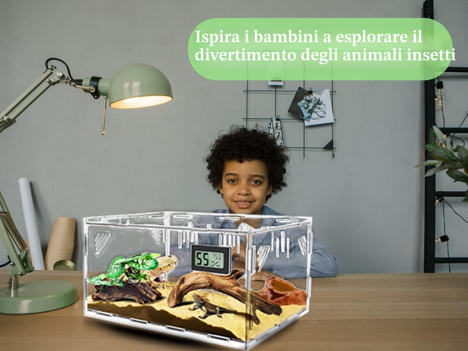 Terrario Acrilico per Rettili con Igrometro e Controllo Temperatura, 30 x 20 x 15 cm, Ideale per Allevamento di Rettili e Piccoli Insetti