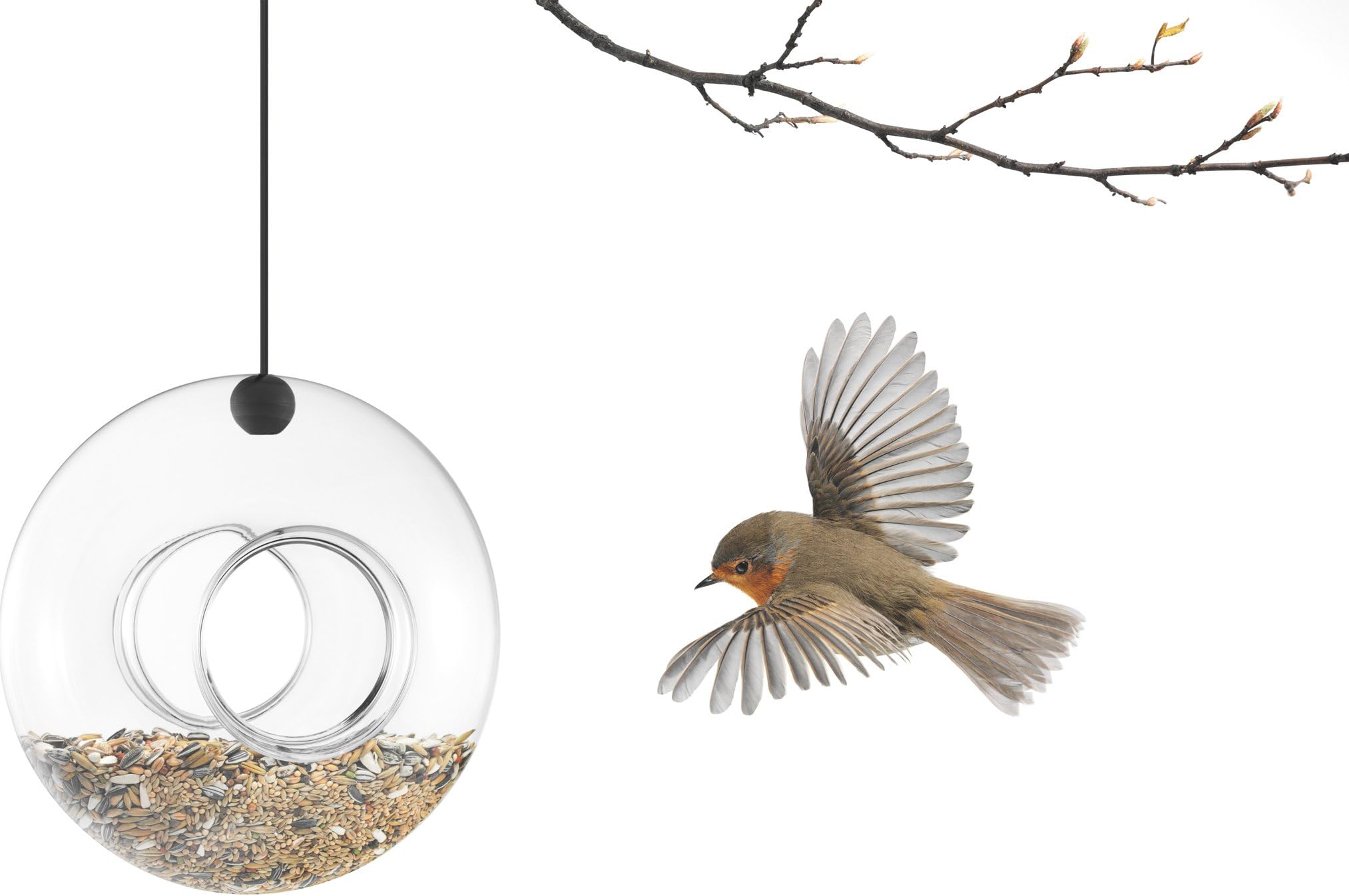 Bird Feeder | Mouth-Blown Glass – Easy to Clean | Outdoor Patio & Garden | Several Attachment Options | Drain Hole to Prevent Feed from Freezing