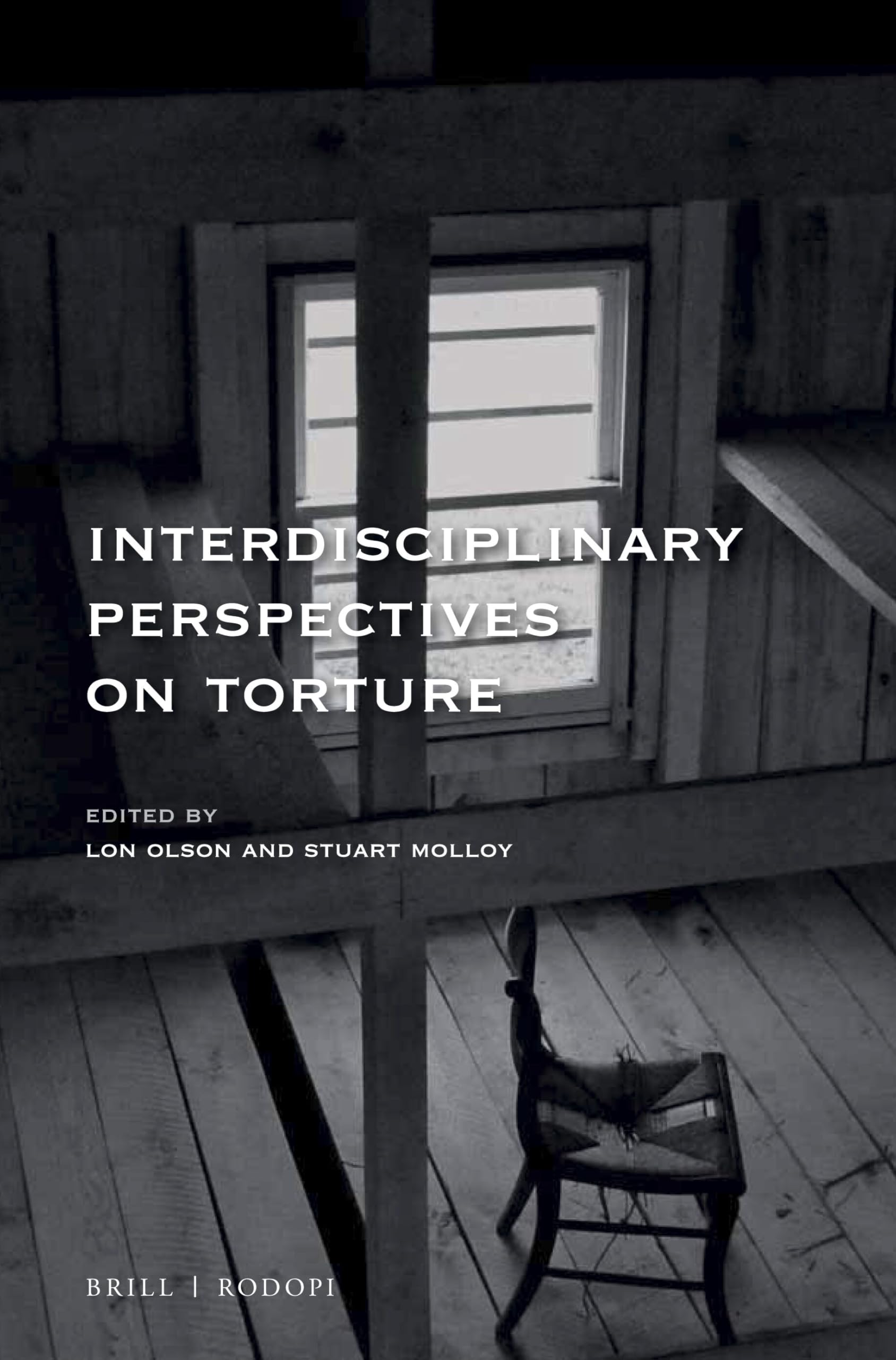 Interdisciplinary Perspectives on Torture: 127 (At the Interface / Probing the Boundaries, 127)