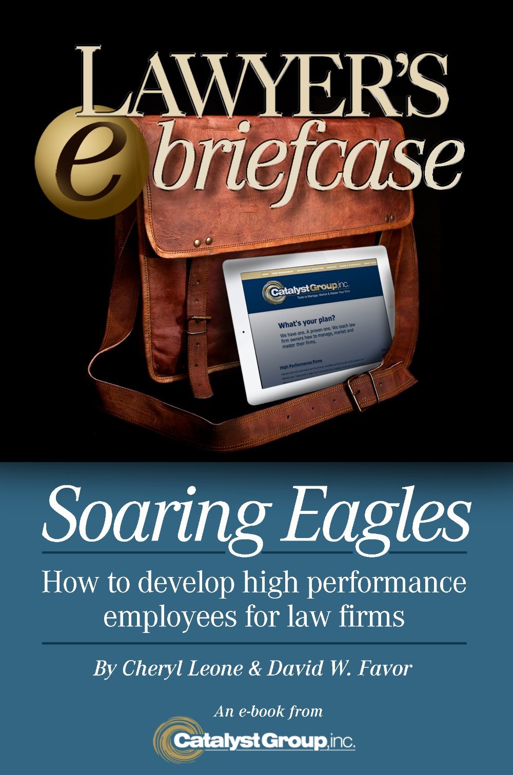Soaring Eagles (Lawyer's E-Briefcase Book 1)