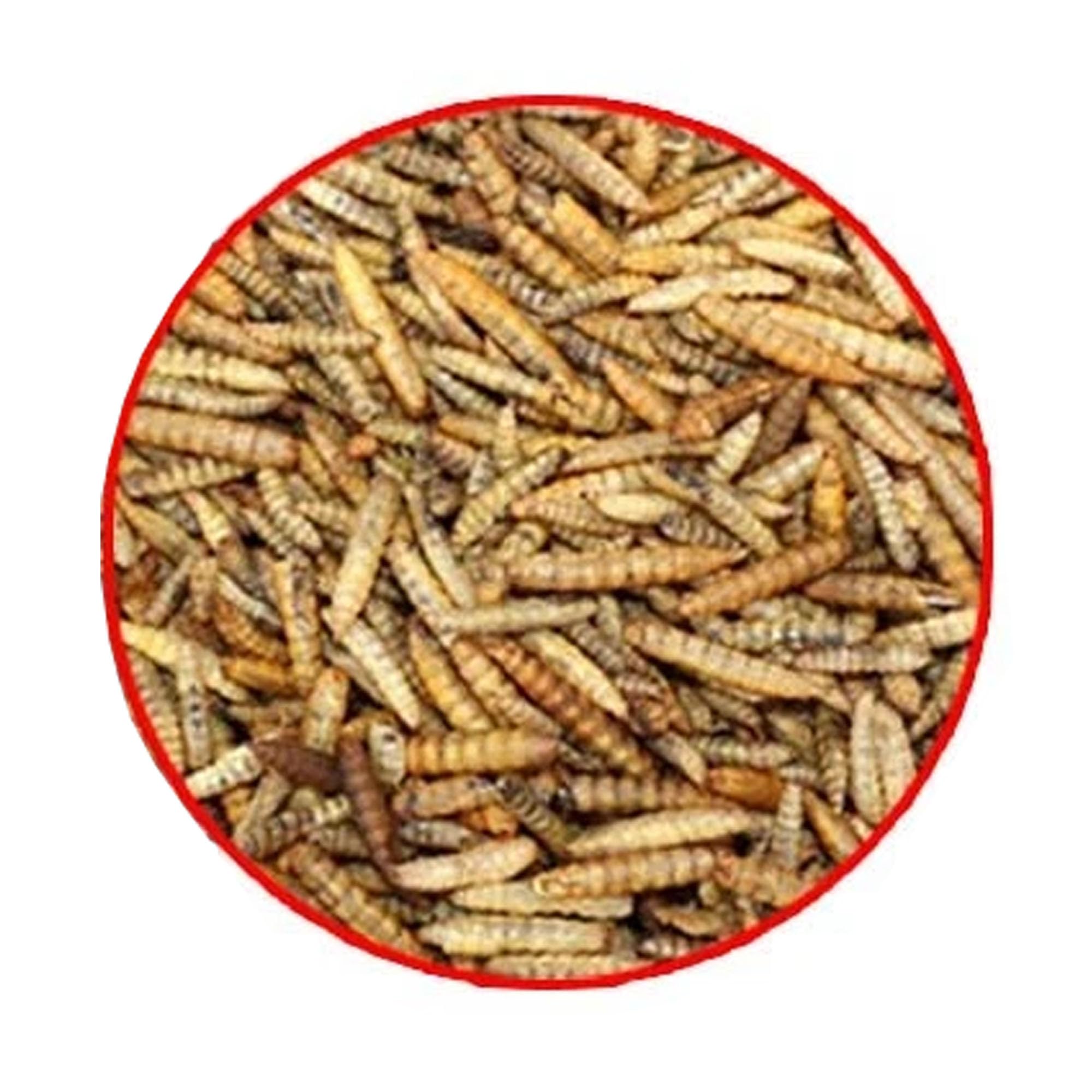 Ambiopet Soldatenfliegenlarven (Hermetia) getrocknet 5 + 5kg Packung, Black Soldier Fly, Protein- und fettreiches Wildvogelfutter, reich an Calcium und Laurinsäure - 3