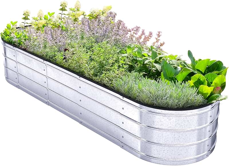 Amazon.ca Raised Garden Kits Patio, Lawn & Garden