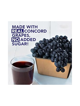 LiteZout 100% Concord Grape Juice, 10oz, (24 pack), by