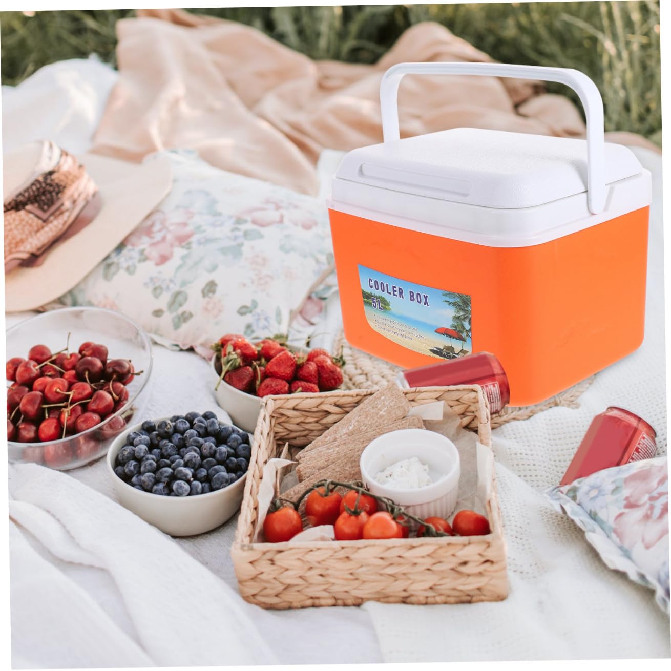 PRETYZOOM Nevera Portátil para Picnic 5l Naranja, Contenedor de Aislamiento