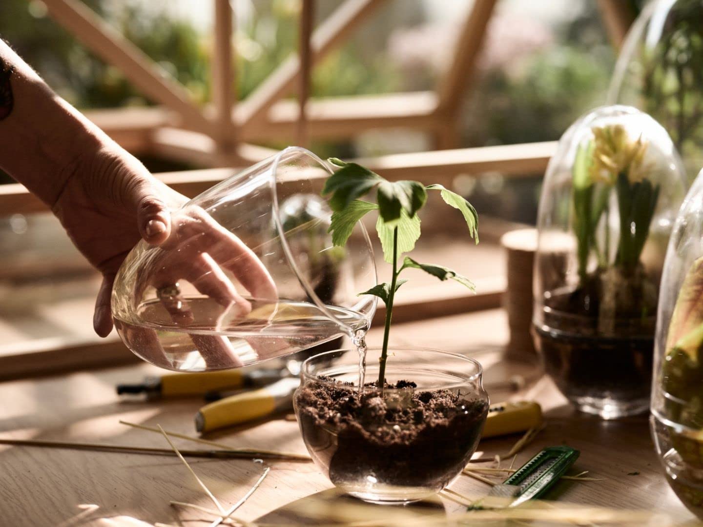 Design House Stockholm Grow Gewächshaus M, transparent H x Ø 24x12cm