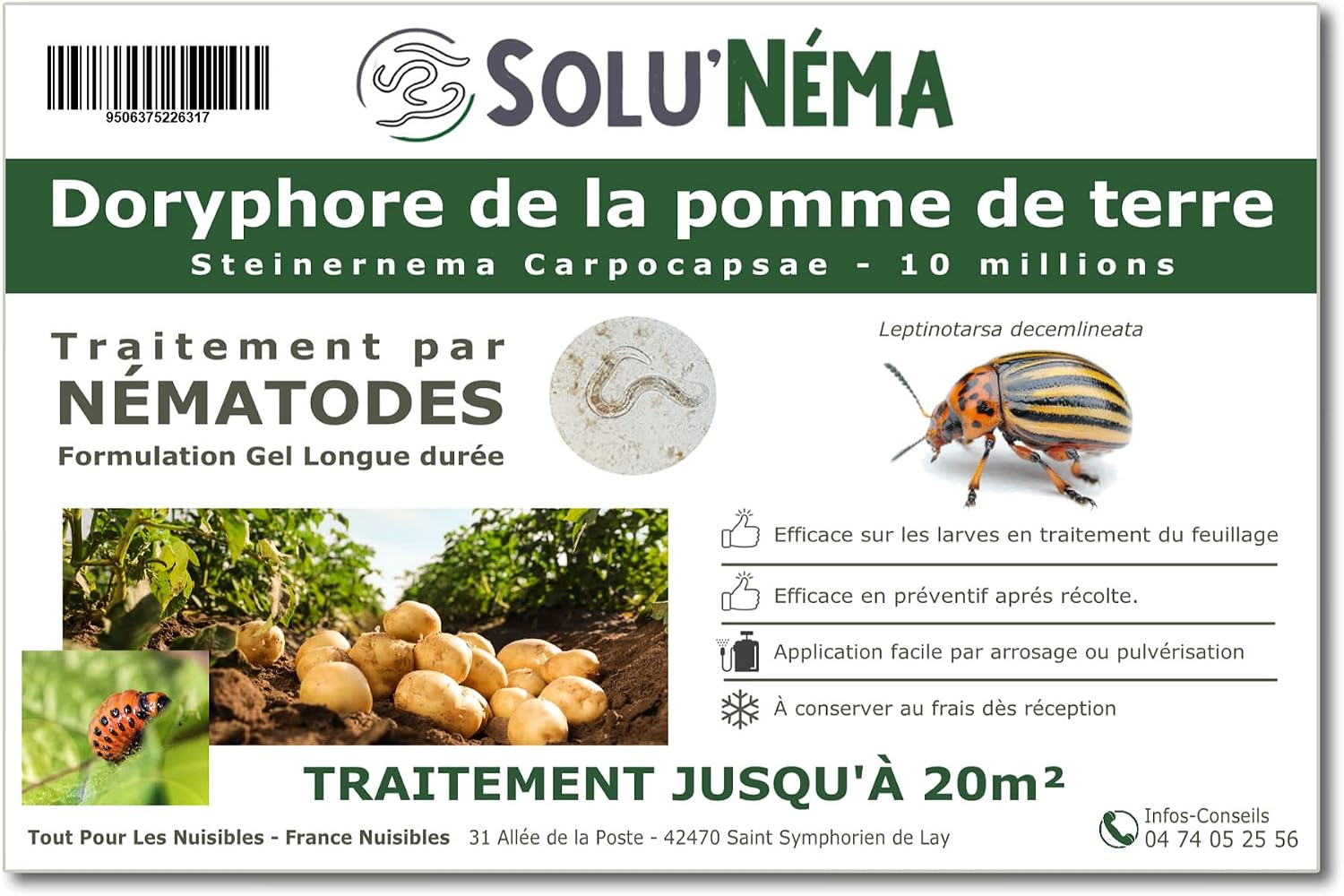Nématodes Contre Thrips SOLUNEMA - 10 Millions - Traitement Biologique Longue Durée