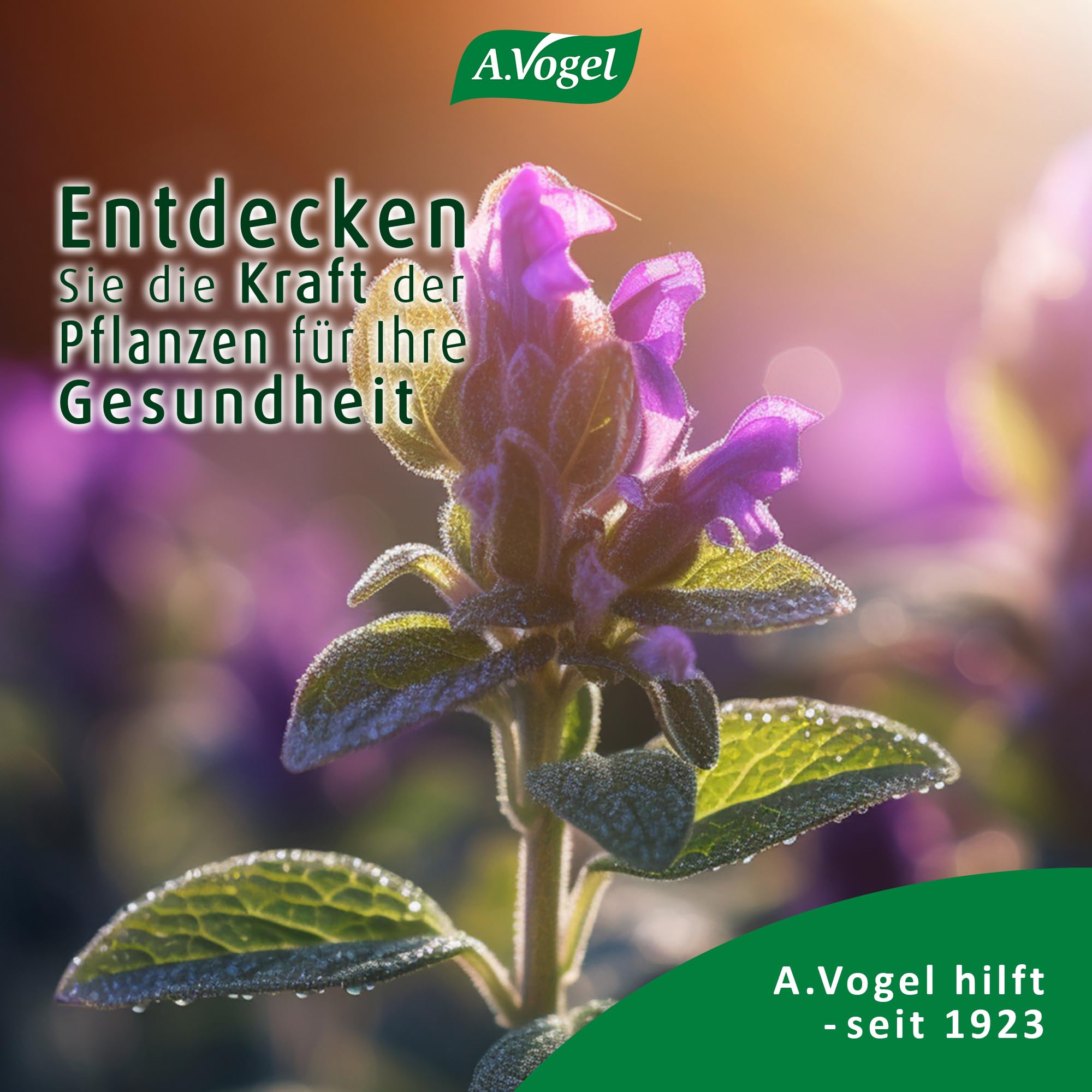 A.Vogel Menosan Salvia 30 Tabletten, pflanzliches Nahrungsergänzungsmittel, Salbei unterstützt in den Wechseljahren, Vegan, mit Spissumextrakt aus frischen Salbeiblättern