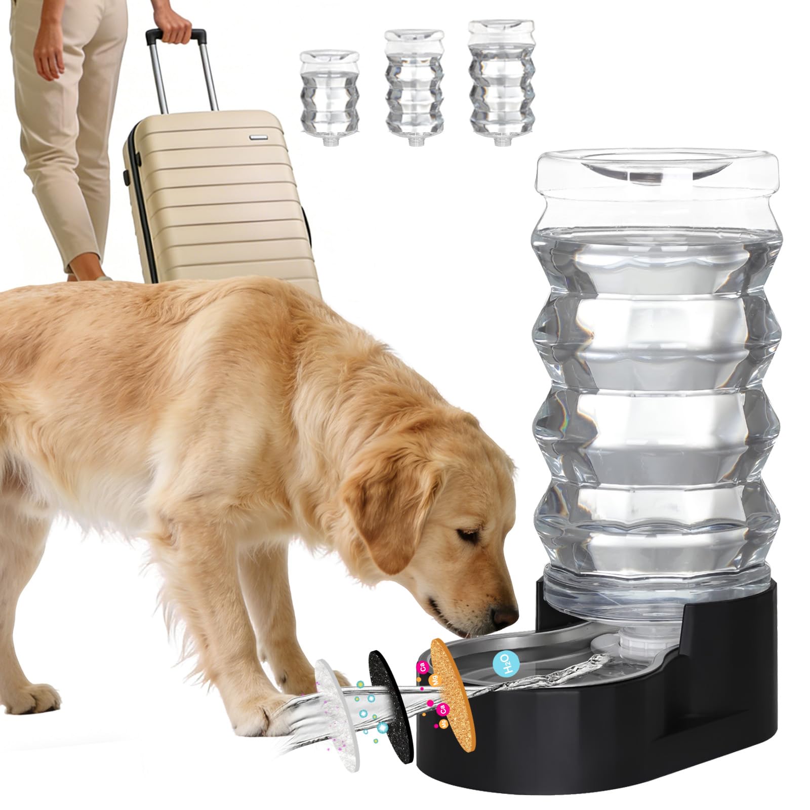 RIZZARI Large Dog Water Dispenser: Stainless Steel Pet Water Bowl - 9L Black Stainless Steel Automatic Pet Gravity Feeder with Filter Indoor/Outdoor