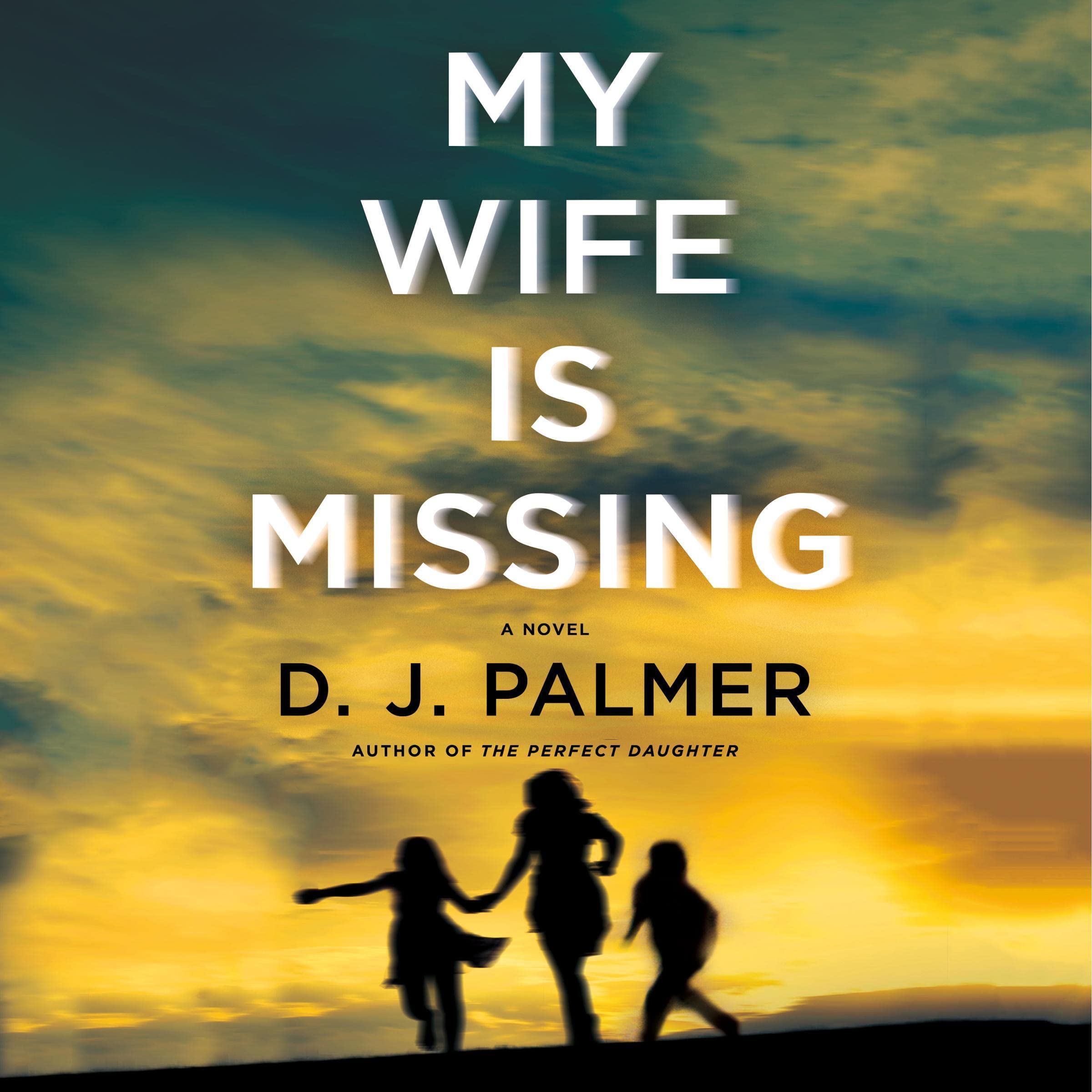 Cover art for My Wife Is Missing
