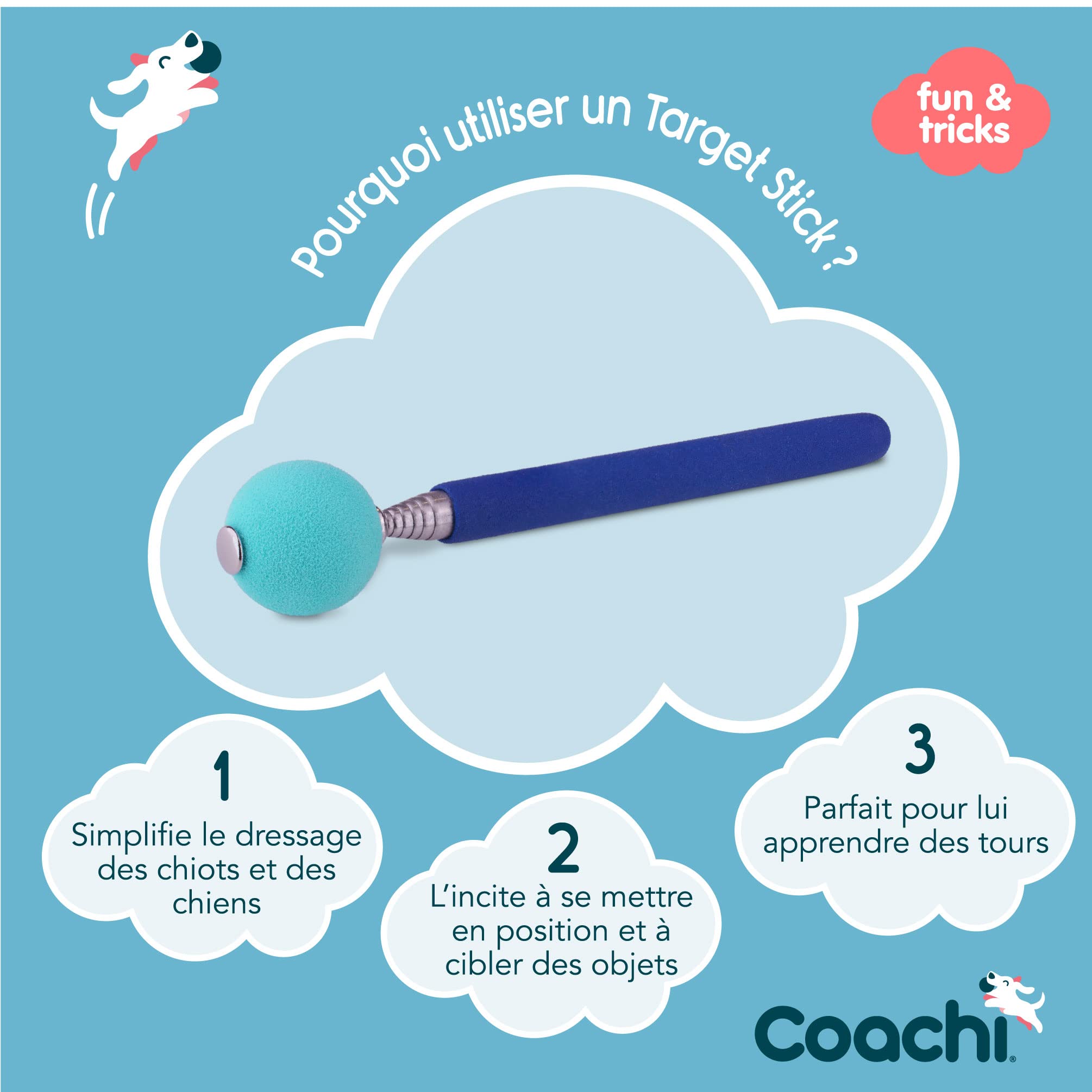 Target Stick Coachi, conception télescopique avec grande balle cible, accessoire pour chien pour le dressage au clicker et à l’agilité, apprentissage d’ordres et tours, adapté aux chiens et aux chiots