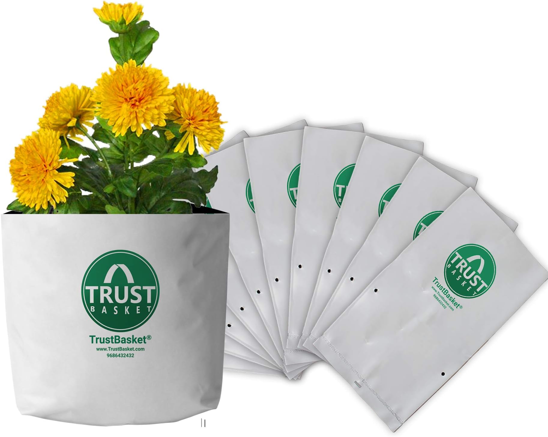 Amazon.in TrustBasket GROW BAGS