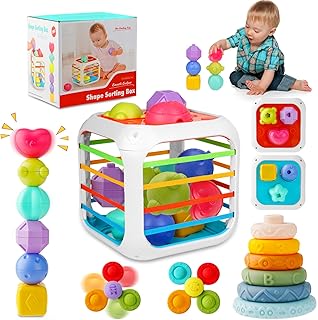 Baby Montessori Toys for 6 to 12 Months, Shape Sorter Sensory Bin with 6 Shape Blocks, Stacking Rings Infant Teething Toys, Suction Cup Spinner Toddler Bath Toy, Baby Toys Gift for Birthday Christmas