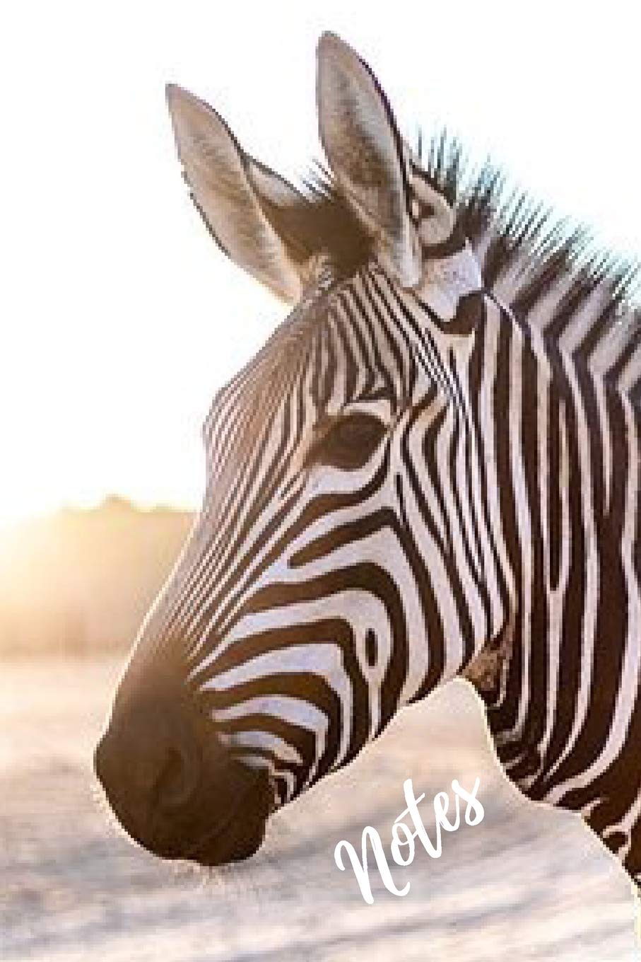 Zebra Notebook: cute zebras gift for animal lovers (blank lined notebook) best for writing notes stories and ideas for home use work or as a school ... for women / beautiful journal for journaling