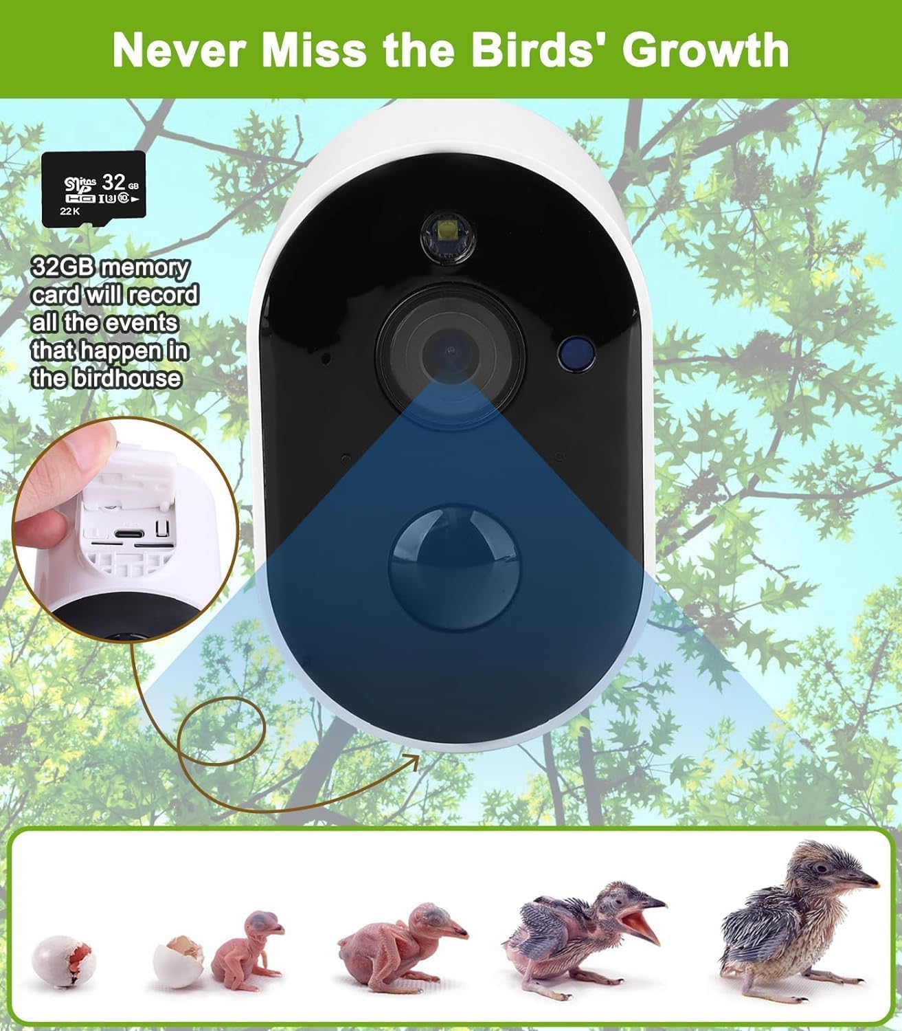 Smart Vogelhaus mit Kamera, 1080P HD Kabelloses Vogelhaus für draußen mit Nest Auto Capture Foto & Video, solarbetrieben 2.4G WiFi & App Benachrichtigung 32G SD-Karte Wasserdichtes Holz Vogelhaus