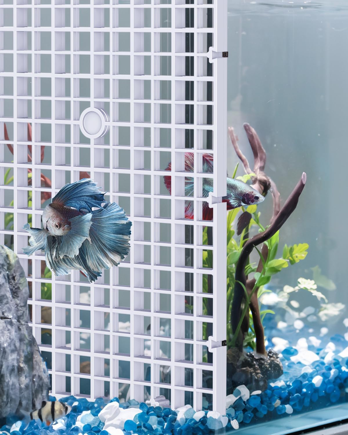 Pawfly 4 Pack Aquarium Fish Tank Divider, Plastic Aquarium Grid Divider, Egg Crate Divider Tray Grid Fish Tank Bottom Isolation Separator for Aquarium Fish and Plants, White